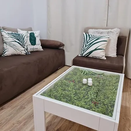 Little Treasure By The Sea פומורי